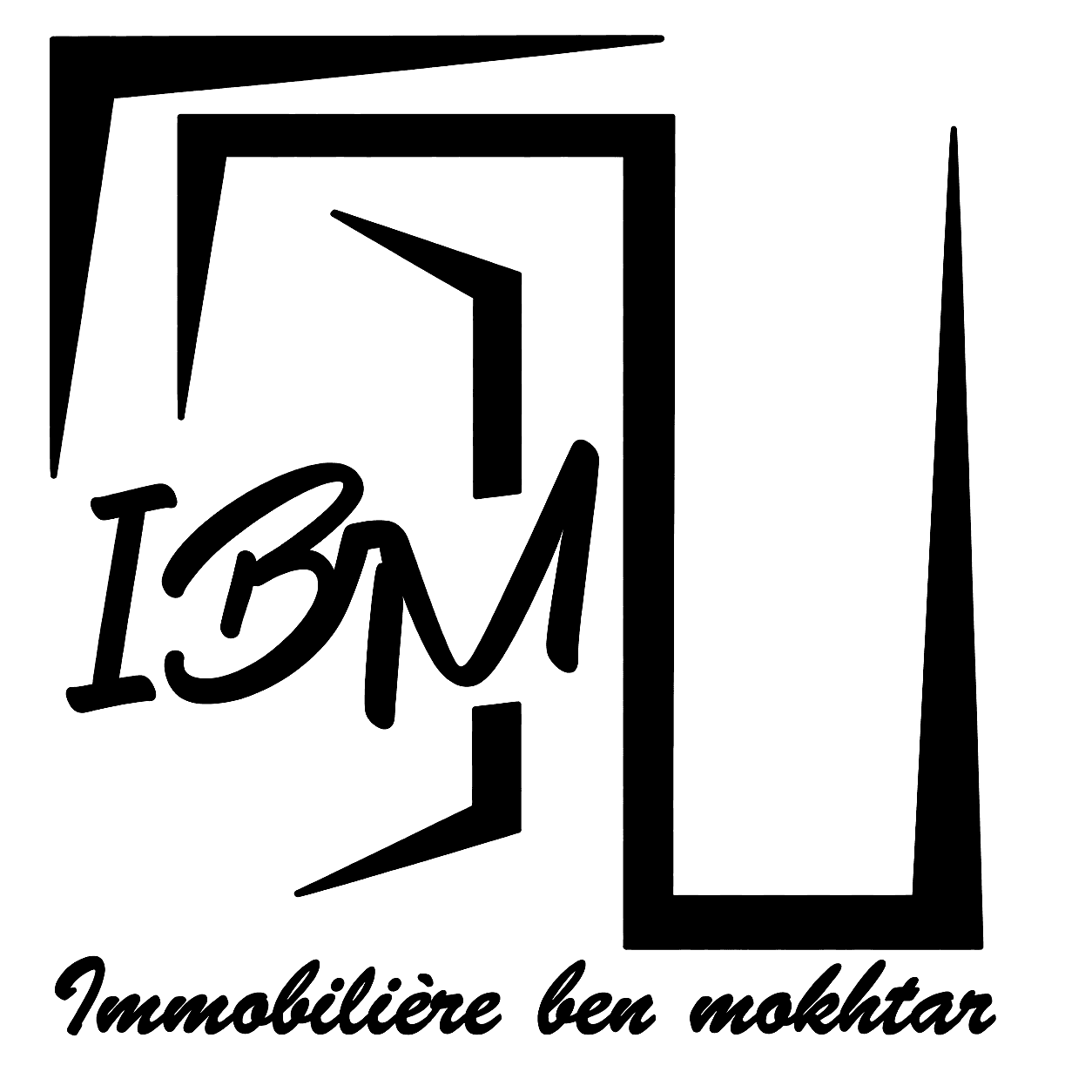 IBM Immobilière