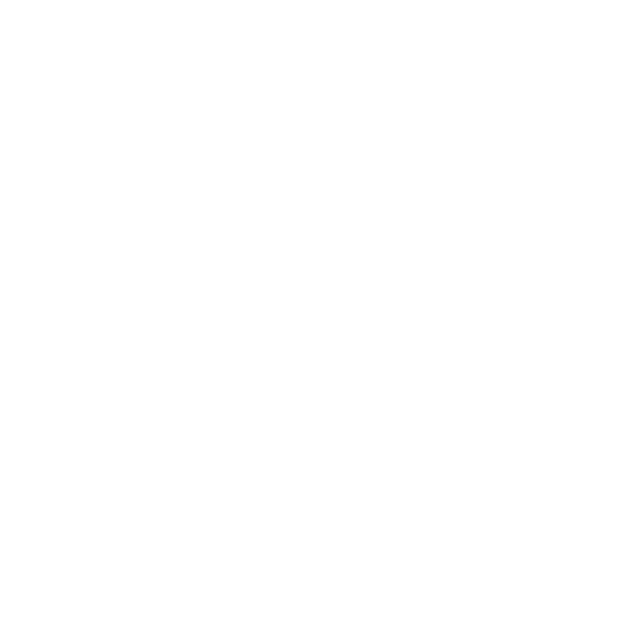IBM Immobilière